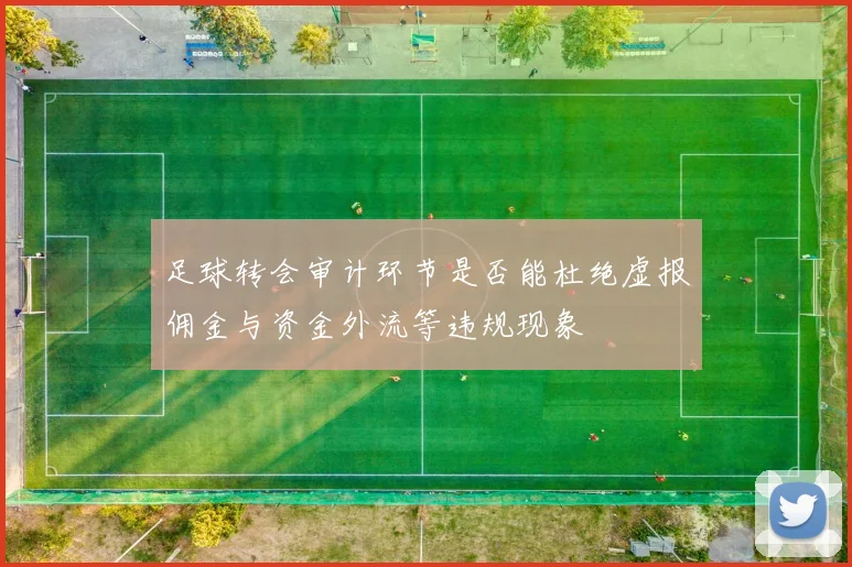 足球转会审计环节是否能杜绝虚报佣金与资金外流等违规现象