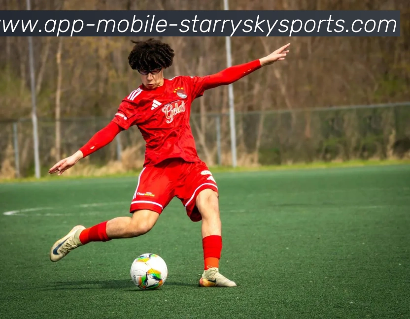 App Interface Preview