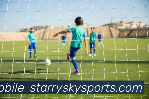 星空体育APP 封面图